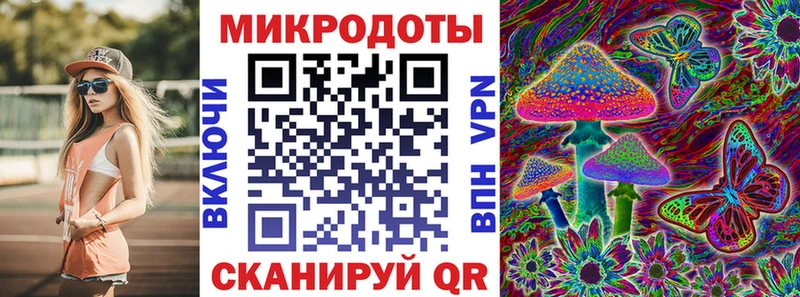 Галлюциногенные грибы Psilocybe  Шилка 